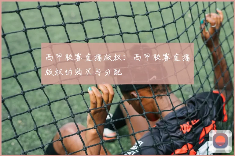 西甲联赛直播版权：西甲联赛直播版权的购买与分配