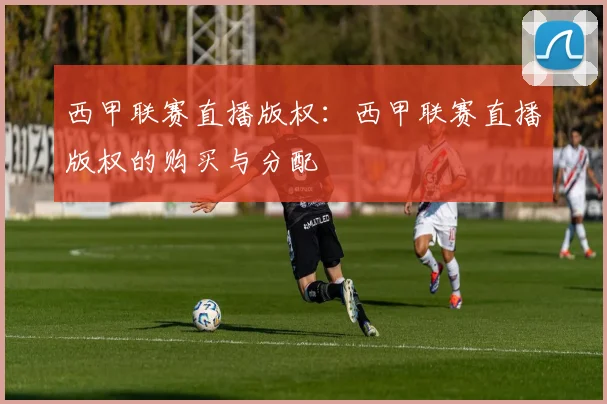 西甲联赛直播版权:西甲联赛直播版权的购买与分配